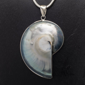 Pearlescent Shell Pendant