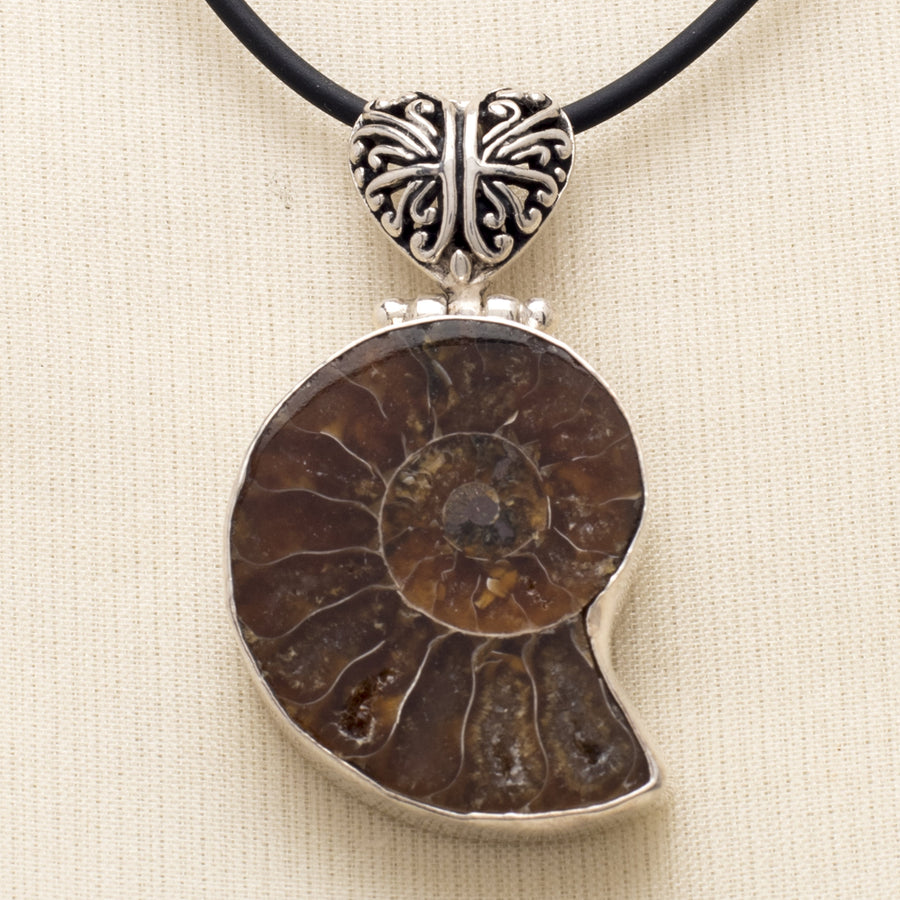 Ammonite Pendant with a Pierced Bail
