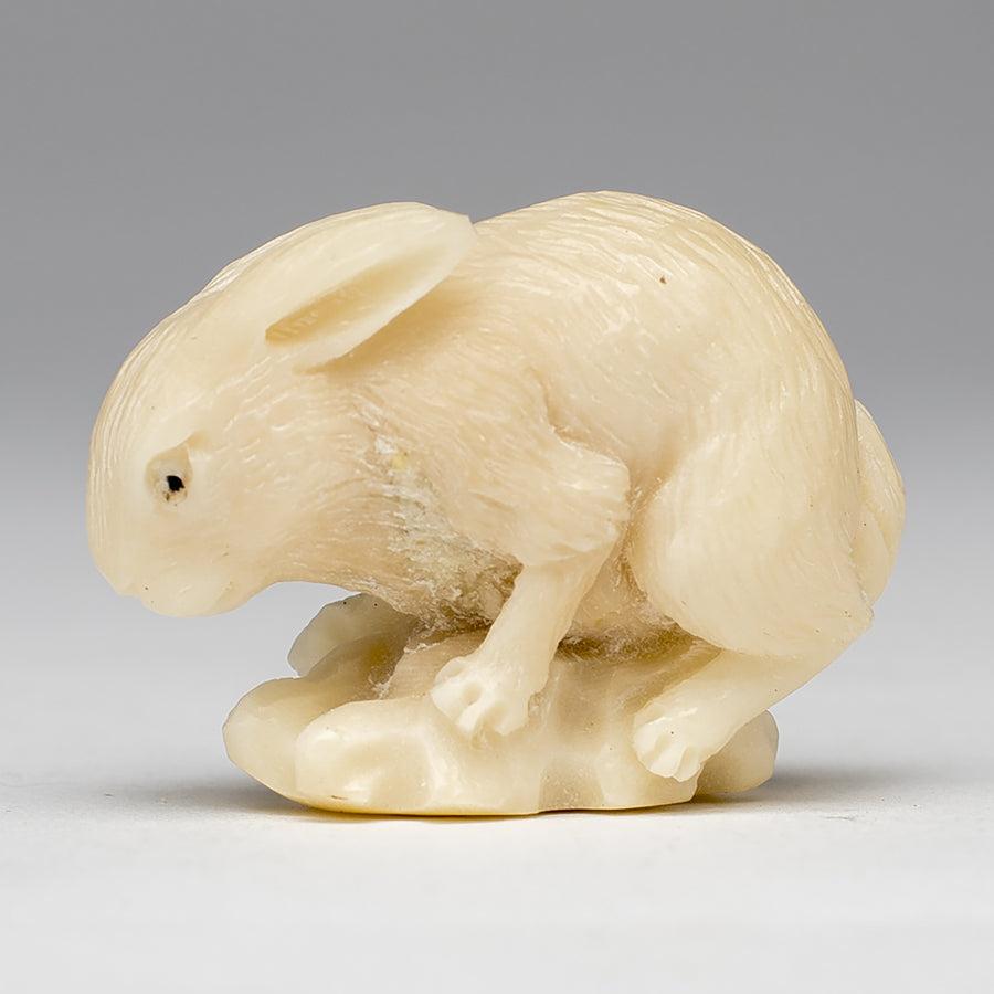 Carved Rabbit from Taqua Nut