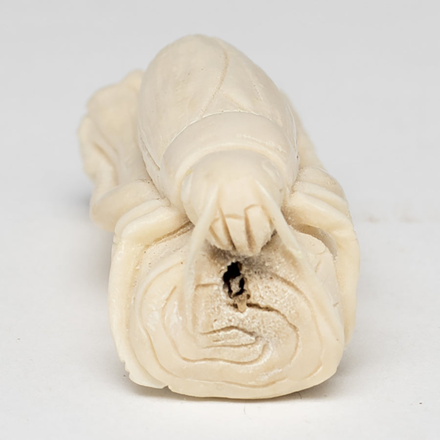 A Tropical Bug Bone Carving