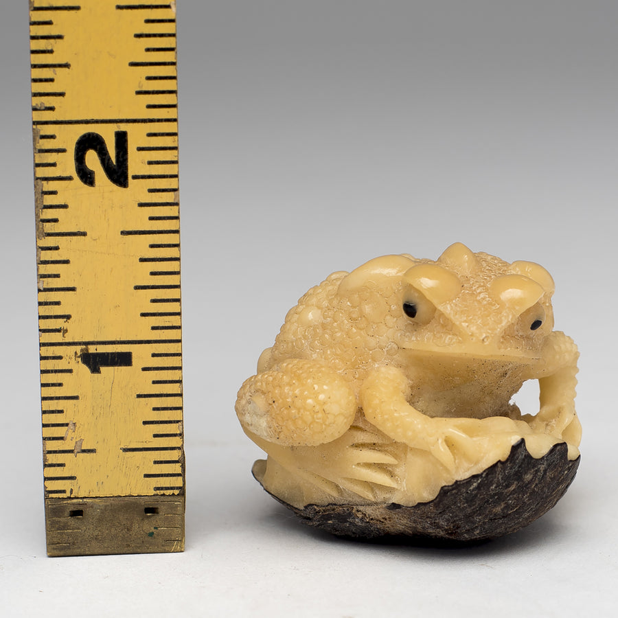 Carved Frog from Taqua Nut