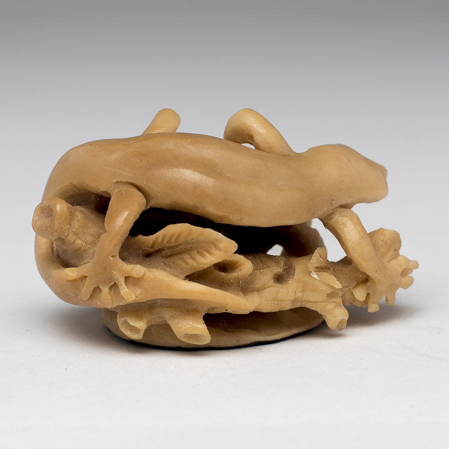 Carved Gecko from Taqua Nut