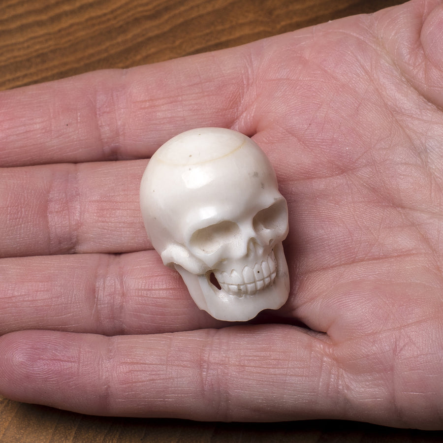 Bone Carving - Tiny Human Skull