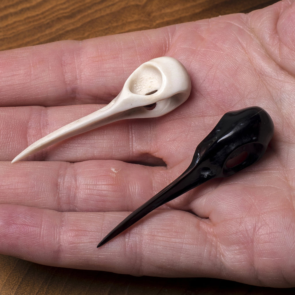 Bird Skulls - Small Raven Head Horn & Bone