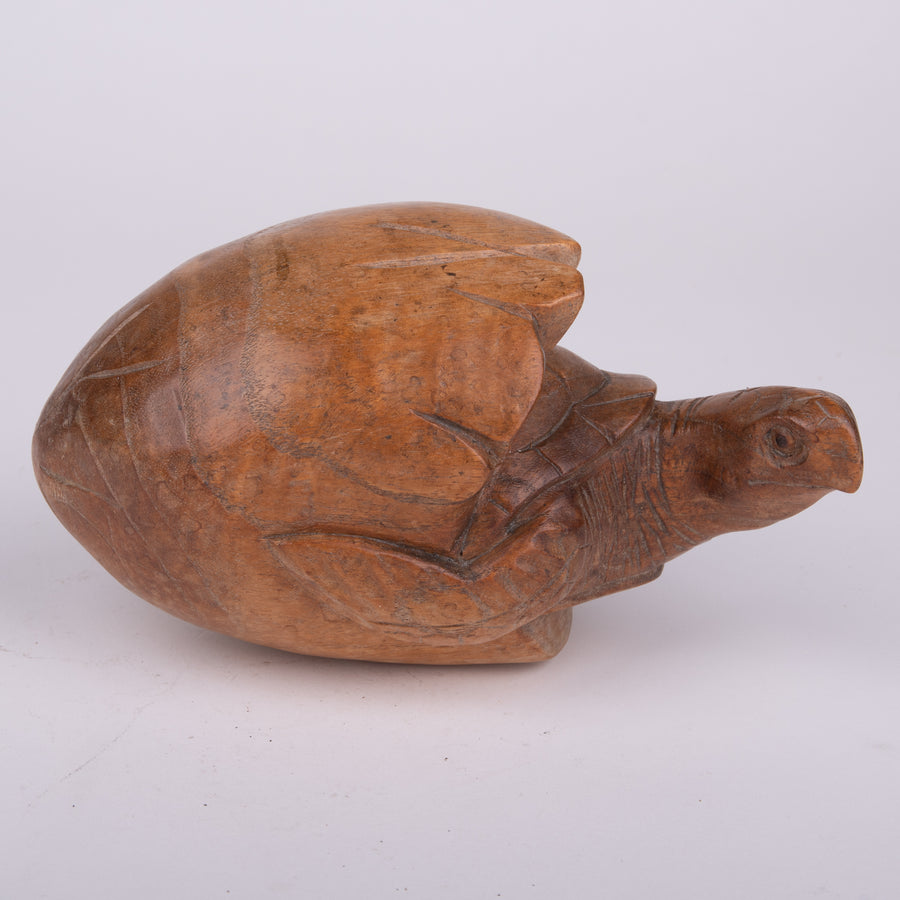 Carved Turtle Hatching from Wooden Egg