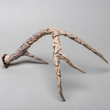 Extraordinary Antler Carving I
