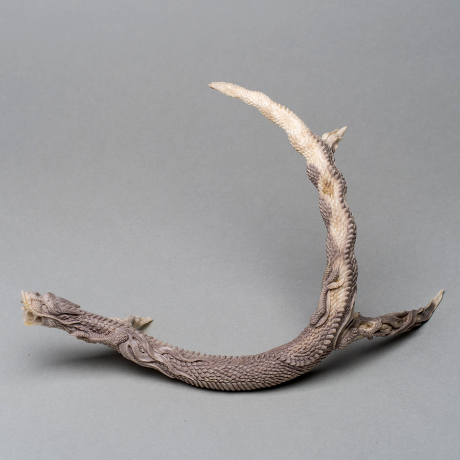 Carved Antler Brings Out the Dragon