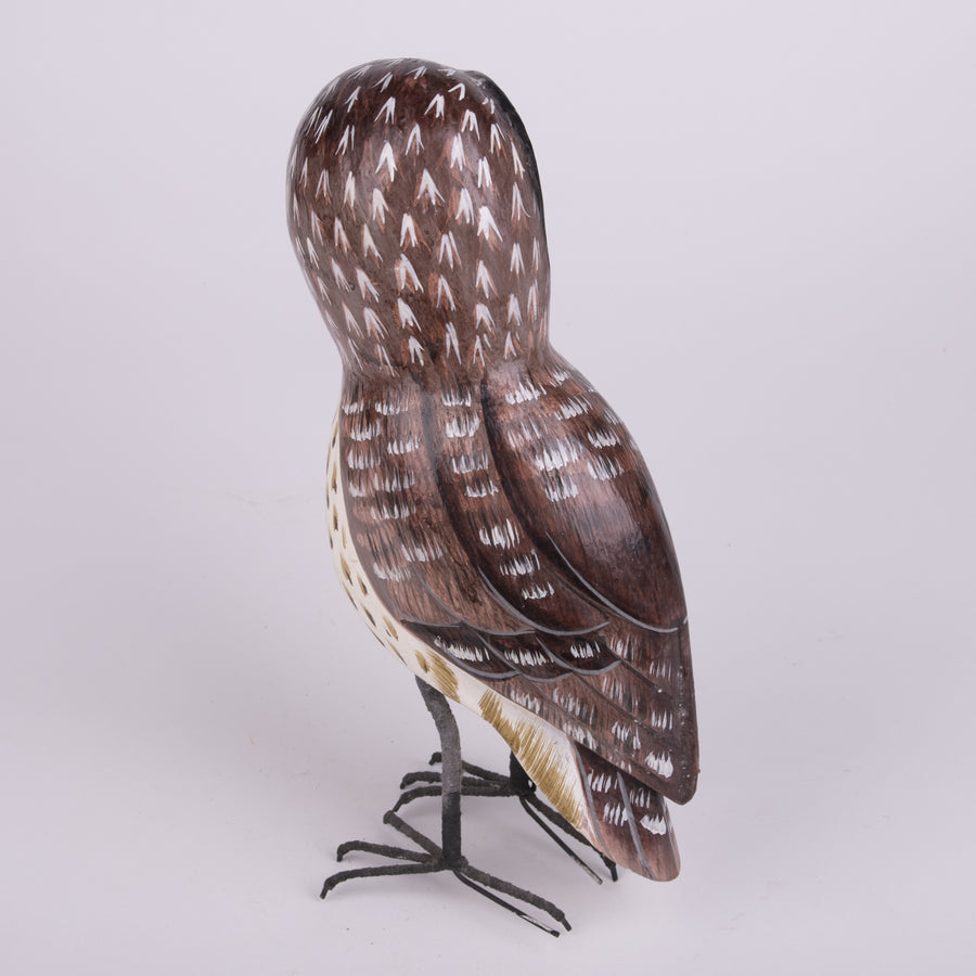 Hand Carved Owls - Barred Owl