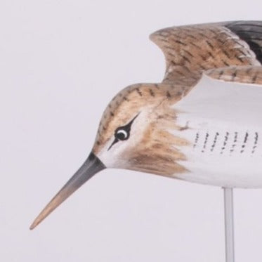 Hand Carved Shore Birds - Soaring Sandpipers