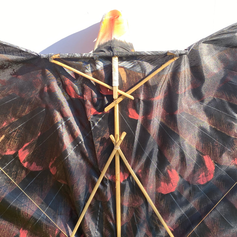 Backside of Kite open, ready to fly