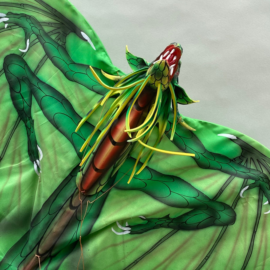 Green New Dragon Kite