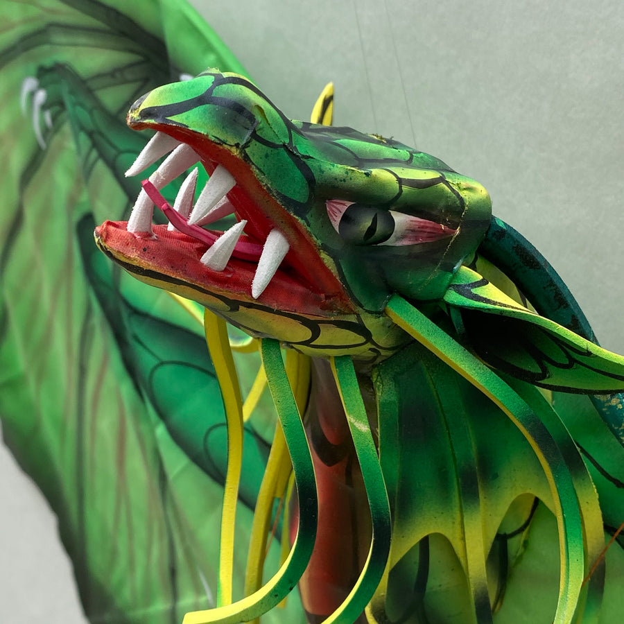 Green New Dragon Kite