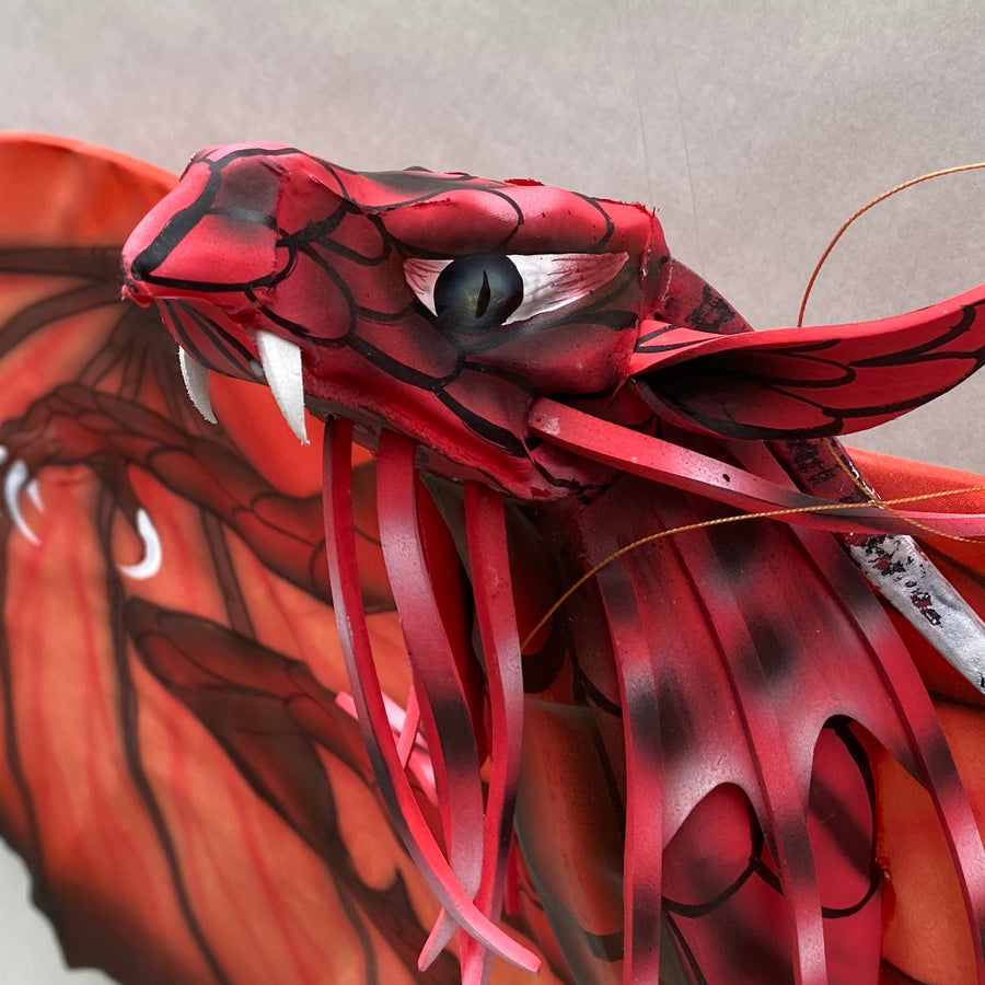 Red New Dragon Kite