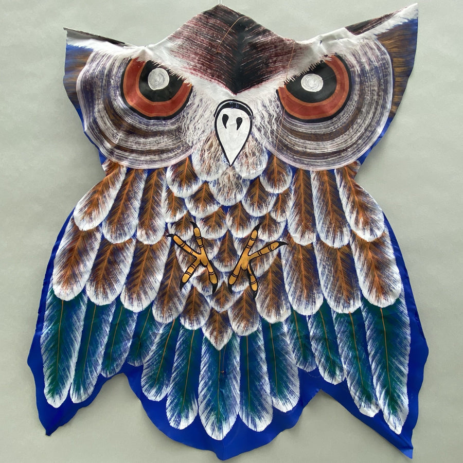Blue Owl Kite