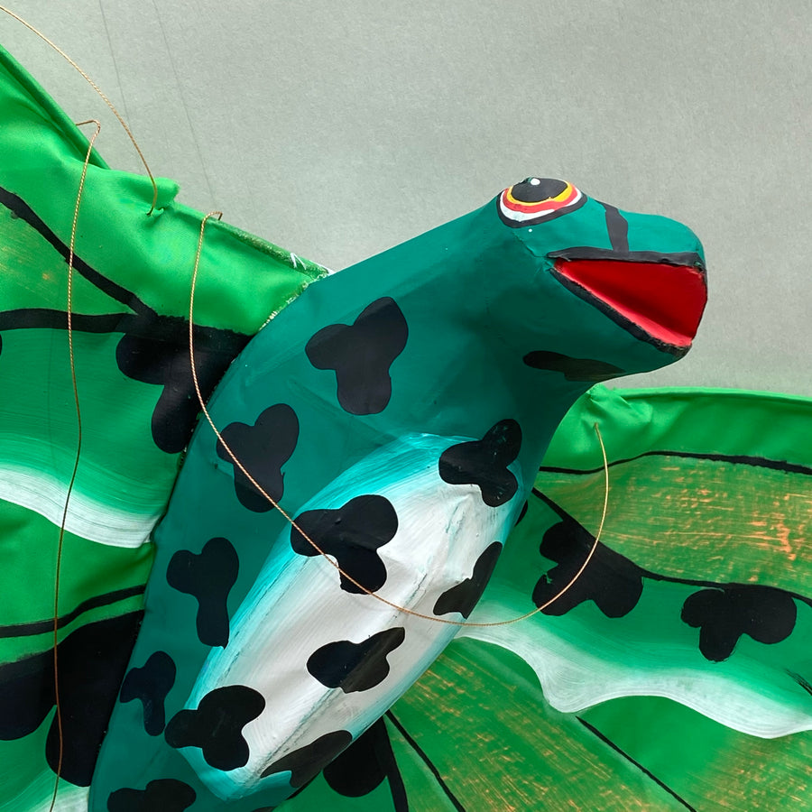 Green Frog Kite